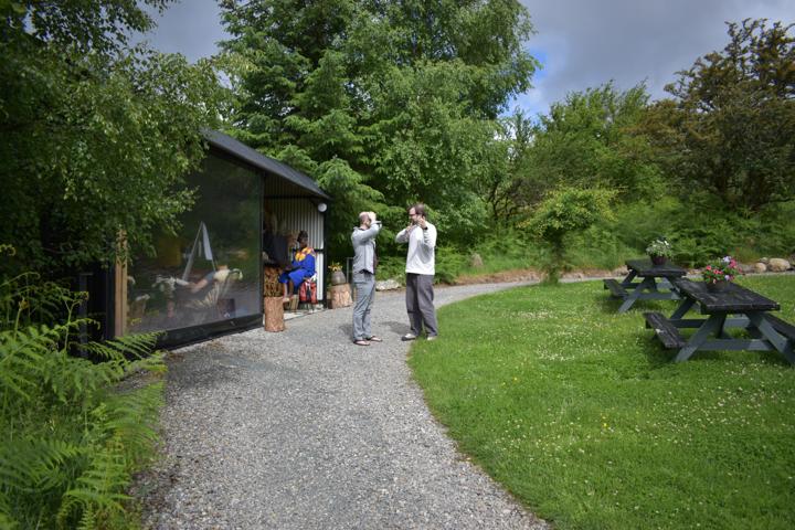 A gravel path curving through a garden towards a dark wooden shed.