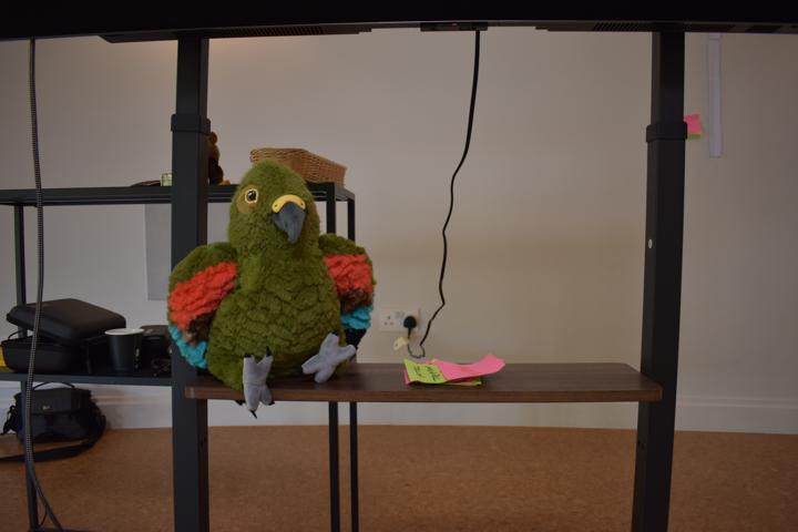 A toy parrot perched on a table in the round room.